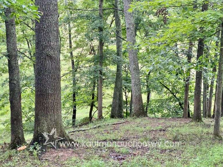 82 +/- Acre Lewis County Farm