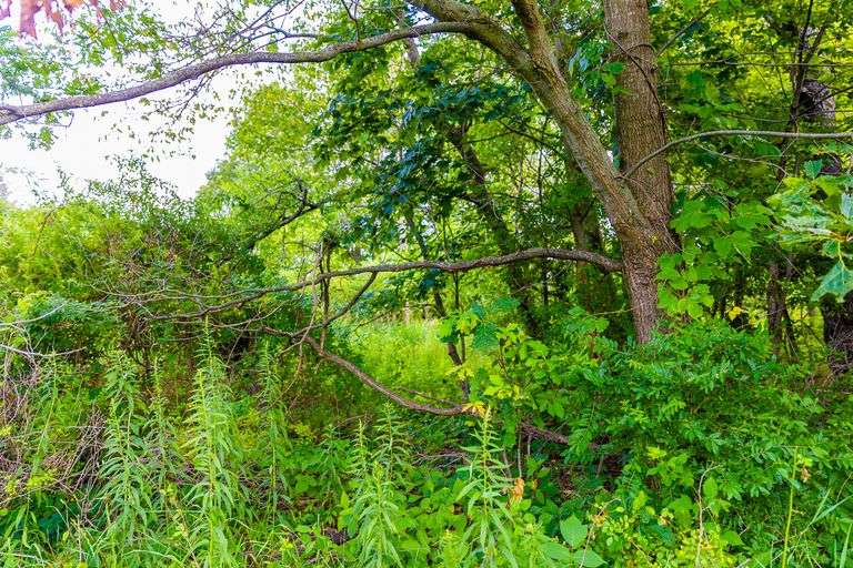 8.98 Acres