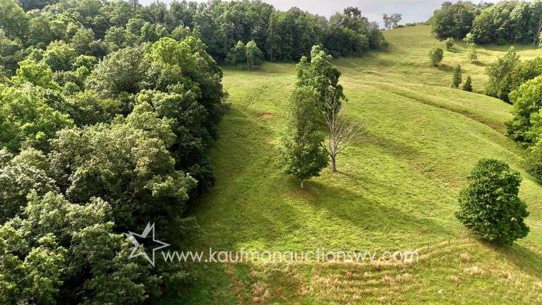 82 +/- Acre Lewis County Farm