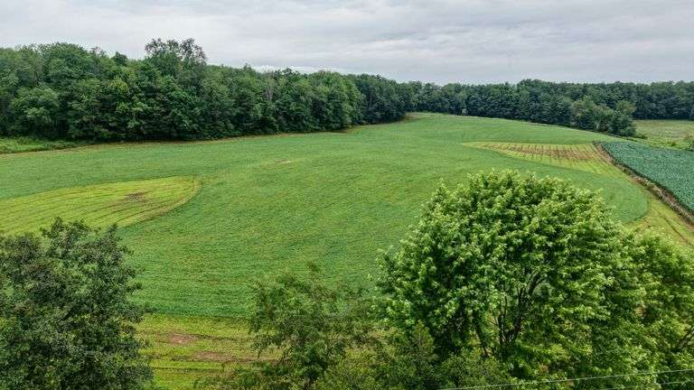 Parcel 2: 8.5 Acres, 40 ft frontage, open & wooded