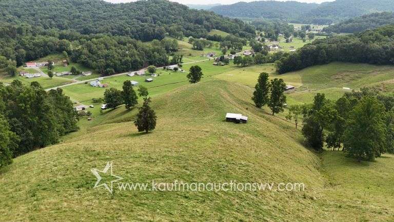 82 +/- Acre Lewis County Farm
