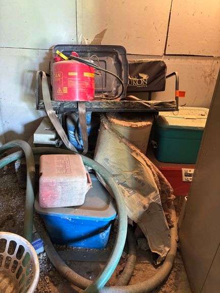 Contents of Live Auction