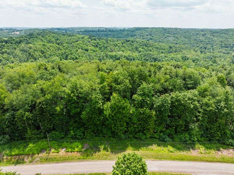 118 Acre Holmes County Lan...