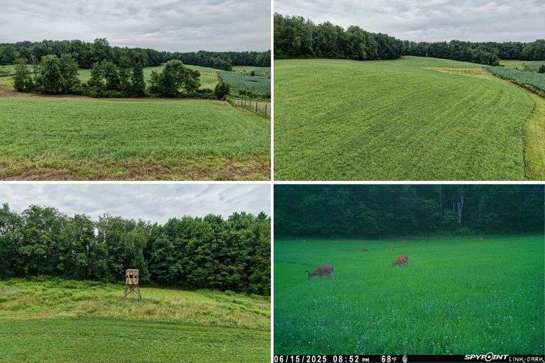 All Property Photos