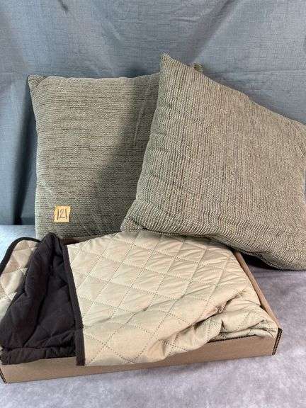 CHAIR COVER AND THROW PILLOWS