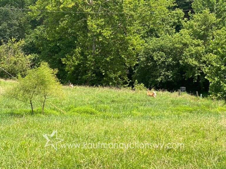 97.89 +/- Acres | 3 Bedroom, 2 Bath Home