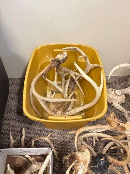 Contents of Live Auction