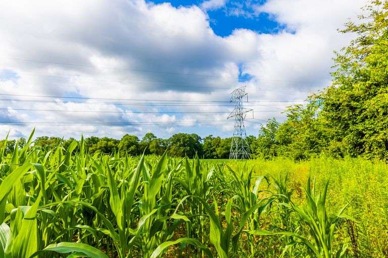 8.98 Acres