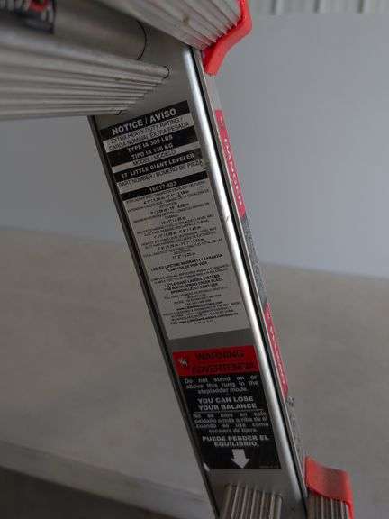 Little Giants extension ladder system