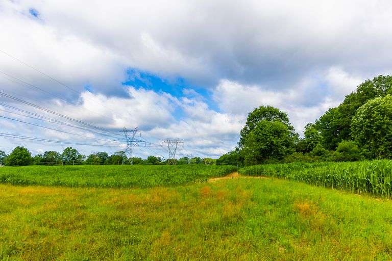 8.98 Acres