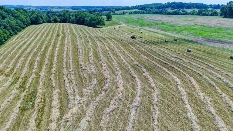 Parcel 2: 20.9 Acres with Riding Arena and Building Site.