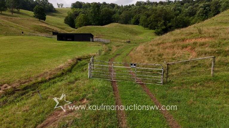 82 +/- Acre Lewis County Farm