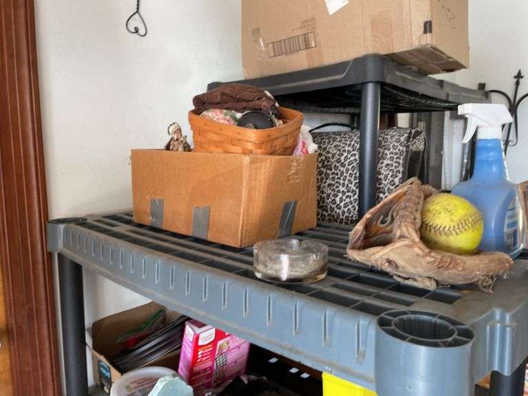 SHELF AND ITS CONTENTS (PICTURED)