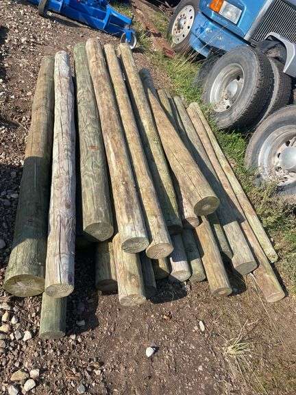 (22) 8 ft. fence posts