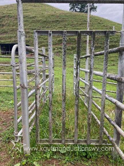 82 +/- Acre Lewis County Farm