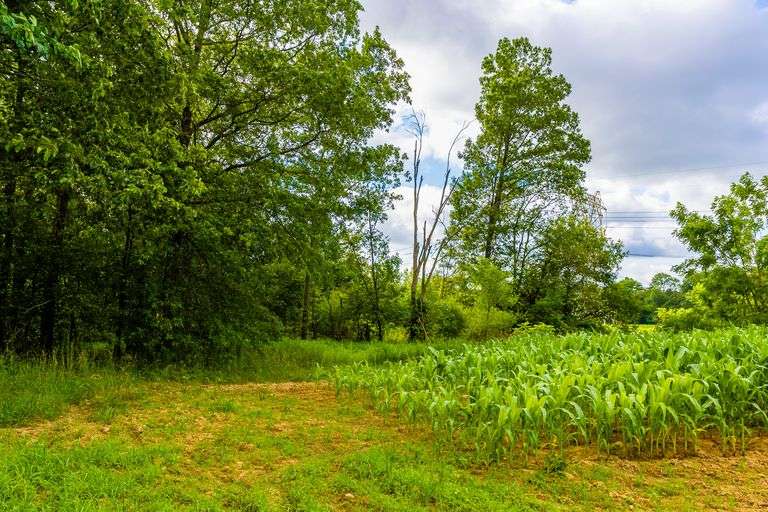 8.98 Acres