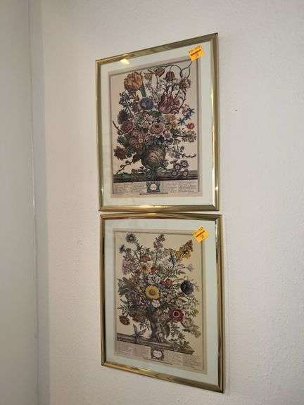 (2) Framed Prints