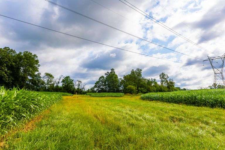 8.98 Acres