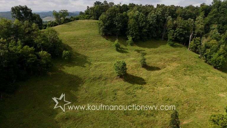 82 +/- Acre Lewis County Farm