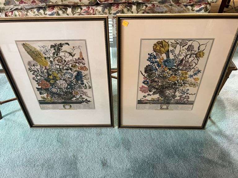 (2) Framed Prints