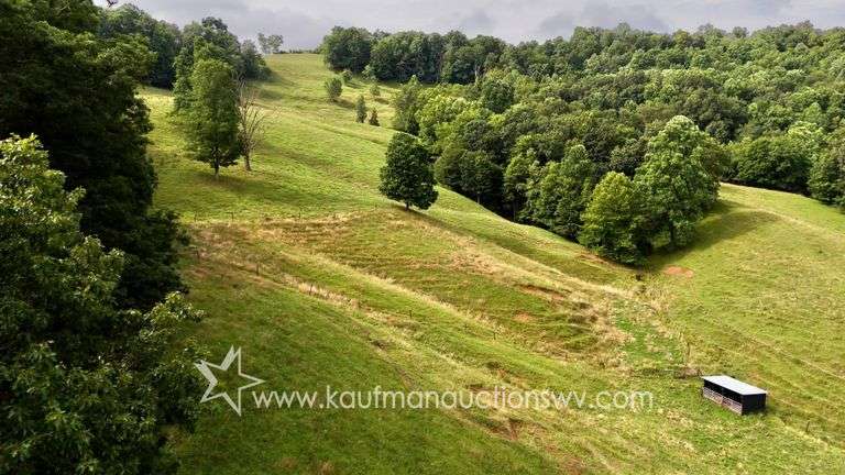 82 +/- Acre Lewis County Farm
