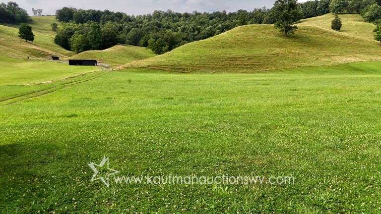82 +/- Acre Lewis County Farm