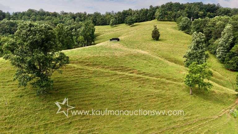 82 +/- Acre Lewis County Farm