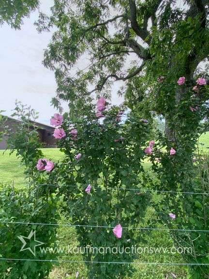 145.71 +/- Acres | Home Built in 1991 - 2 Bedroom, 2 Bath