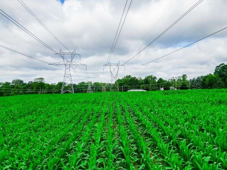 8.98 Acres
