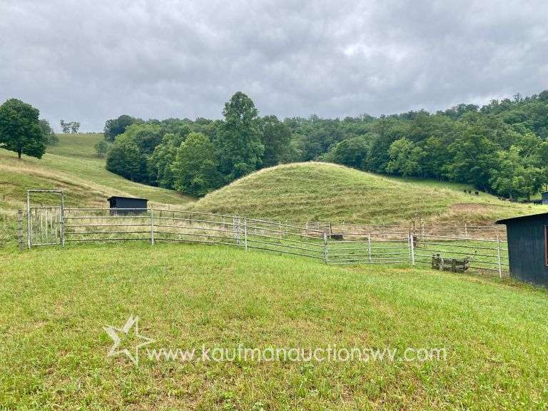 82 +/- Acre Lewis County Farm