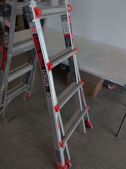 Little Giants extension ladder system