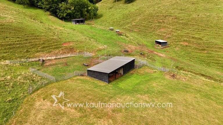 82 +/- Acre Lewis County Farm
