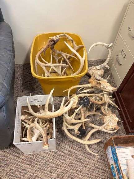 Contents of Live Auction