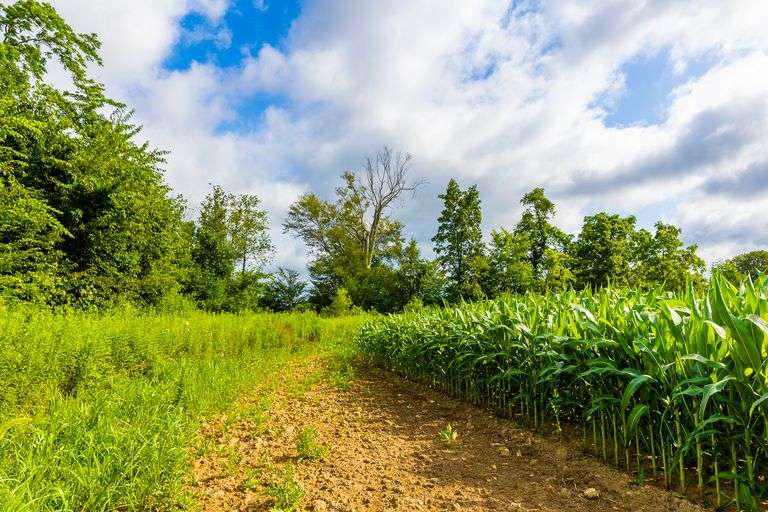8.98 Acres