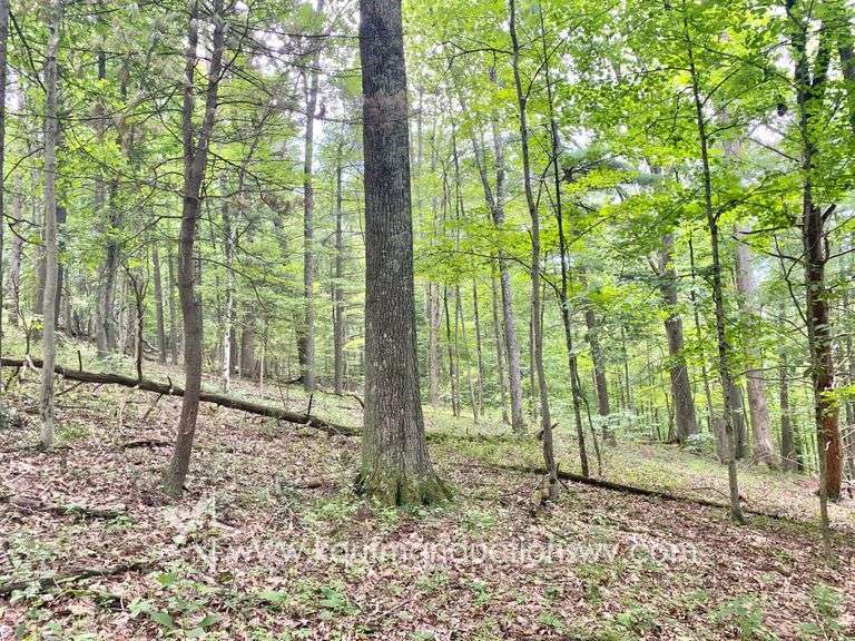 145.71 +/- Acres | Home Built in 1991 - 2 Bedroom, 2 Bath