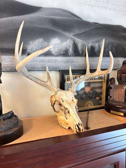 Contents of Live Auction