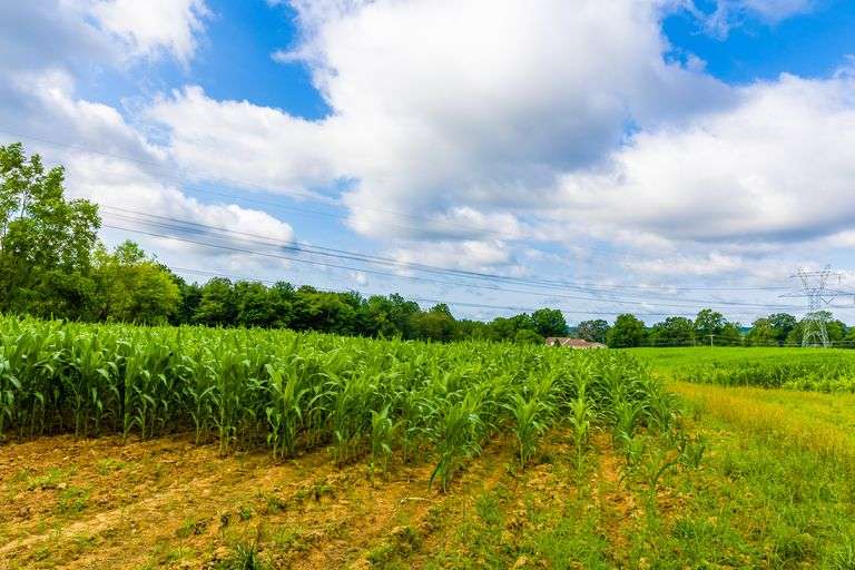 8.98 Acres
