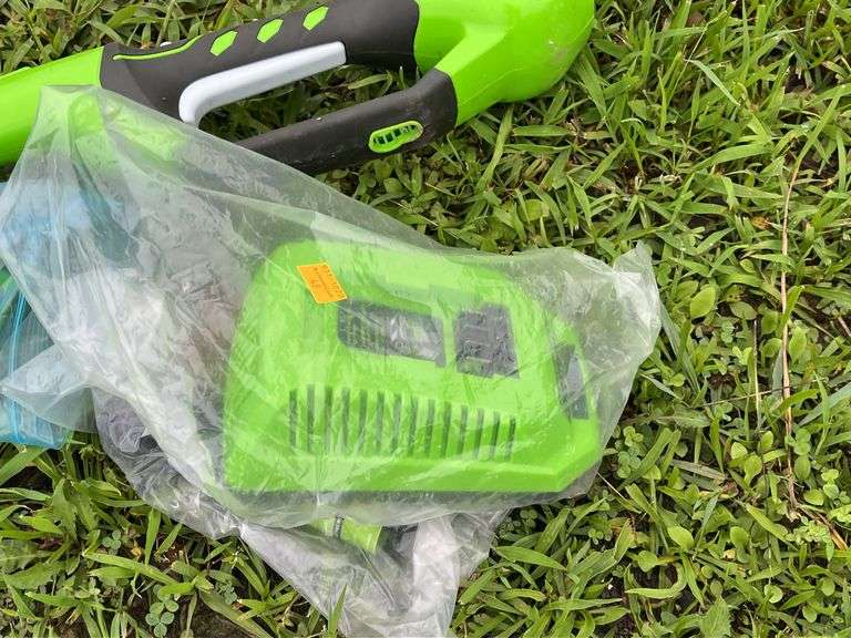 Greenworks Battery Pruner