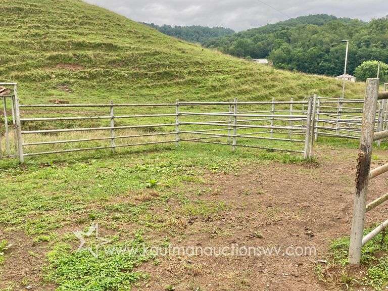 82 +/- Acre Lewis County Farm
