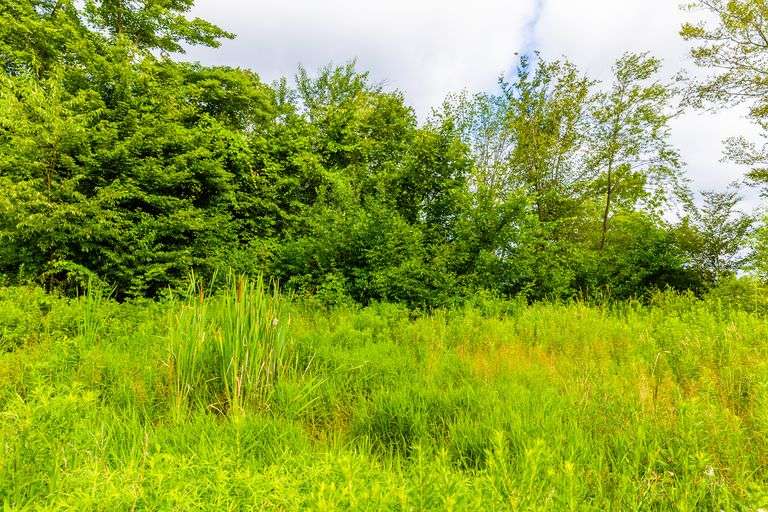 8.98 Acres