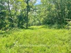 97.89 +/- Acres | 3 Bedroom, 2 Bath Home
