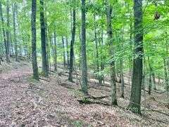 145.71 +/- Acres | Home Built in 1991 - 2 Bedroom, 2 Bath