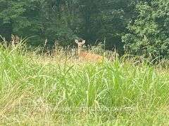 145.71 +/- Acres | Home Built in 1991 - 2 Bedroom, 2 Bath
