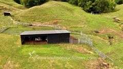82 +/- Acre Lewis County Farm