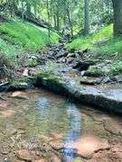 97.89 +/- Acres | 3 Bedroom, 2 Bath Home