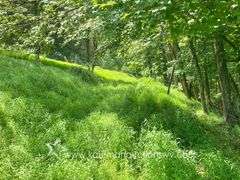 97.89 +/- Acres | 3 Bedroom, 2 Bath Home