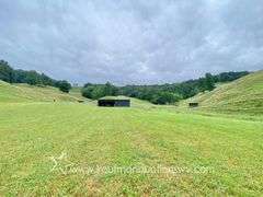 82 +/- Acre Lewis County Farm