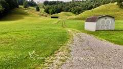 82 +/- Acre Lewis County Farm