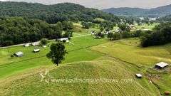 82 +/- Acre Lewis County Farm