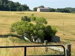 Parcel 2: 29.3 acres with 223’ frontage on SR 164